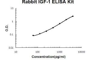 Rabbit IGF-1 PicoKine ELISA Kit standard curve