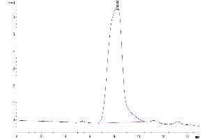 The purity of Human CD43 is greater than 95 % as determined by SEC-HPLC. (CD43 Protein (AA 20-253) (His tag))
