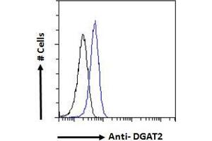 ABIN190849 Flow cytometric analysis of paraformaldehyde fixed HeLa cells (blue line), permeabilized with 0. (DGAT2 antibody  (Internal Region))