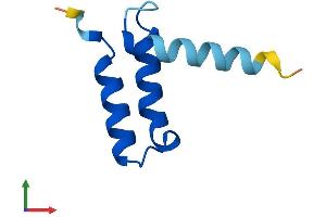 Protein Structure (PS) image for C-X(9)-C Motif Containing 4 Homolog (CMC4) (AA 1-68) protein (Fc Tag) (ABIN7557747)