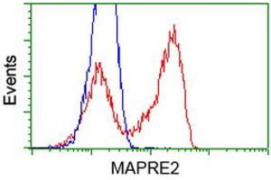 HEK293T cells transfected with either RC200259 overexpress plasmid (Red) or empty vector control plasmid (Blue) were immunostained by anti-MAPRE2 antibody (ABIN2454620), and then analyzed by flow cytometry. (MAPRE2 antibody)
