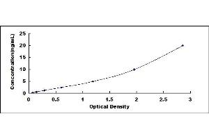 Typical standard curve (ADAMTS9 ELISA Kit)