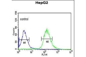 WAC Antibody (Center) (ABIN653490 and ABIN2842908) flow cytometric analysis of HepG2 cells (right histogram) compared to a negative control cell (left histogram). (WAC antibody  (AA 284-313))