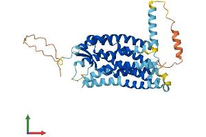 AlphaFold protein structure predicition of Human Recombinant CCR6 Protein, UniprotID P51684 (CCR6 Protein (AA 1-374) (His tag))