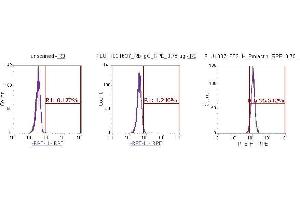 Flow Cytometry (FACS) image for anti-Prolactin (PRL) (AA 29-227) antibody (PE) (ABIN5566088) (Prolactin antibody  (AA 29-227) (PE))
