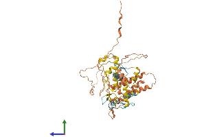 AlphaFold protein structure predicition of Human Recombinant ZNF487 Protein, UniprotID B1APH4