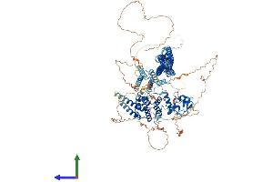 AlphaFold protein structure predicition of Human Recombinant ARHGAP45 Protein, UniprotID Q92619