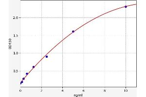 ATF4 ELISA Kit