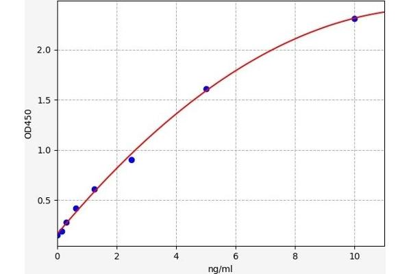 ATF4 ELISA Kit