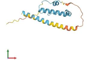 AlphaFold protein structure predicition of Human Recombinant KRBOX1 Protein, UniprotID C9JBD0 (KRBOX1 Protein (AA 1-128) (His tag))