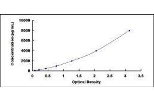 Superoxide Dismutase 3, Extracellular (SOD3) ELISA Kit