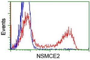 HEK293T cells transfected with either RC207639 overexpress plasmid (Red) or empty vector control plasmid (Blue) were immunostained by anti-NSMCE2 antibody (ABIN2453382), and then analyzed by flow cytometry. (NSMCE2 antibody)