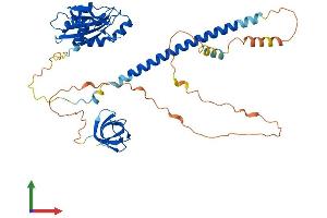 AlphaFold protein structure predicition of Mouse Recombinant Dbnl Protein, UniprotID Q62418 (DBNL Protein (AA 1-436) (His tag))