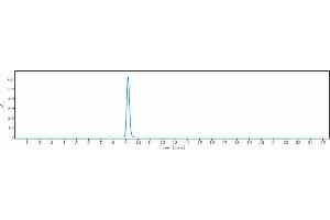 anti-Fibroblast Growth Factor 19 (FGF19) antibody