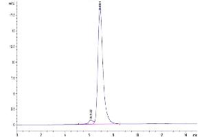 Size-exclusion chromatography-High Pressure Liquid Chromatography (SEC-HPLC) image for Integrin alpha V, Integrin beta 3 (ITGAV/ITGB3) (AA 31-988) protein (Fc Tag) (ABIN7275076)