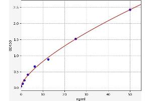 ADAMTS1 ELISA Kit