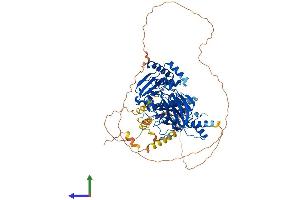 AlphaFold protein structure predicition of Mouse Recombinant Hnrnpul2 Protein, UniprotID Q00PI9 (HNRNPUL2 Protein (AA 1-745) (His tag))