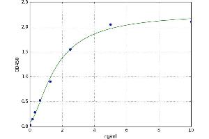 Melanoma Associated Chondroitin Sulfate Proteoglycan (MCSP) ELISA Kit