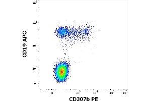 Flow cytometry multicolor surface staining of human lymphocytes stained using anti-human CD307b(B24) PE antibody (10 μL reagent / 100 μL of peripheral whole blood) and anti-human CD19 (LT19) APC antibody (10 μL reagent / 100 μL of peripheral whole blood). (FCRL2 antibody  (PE))