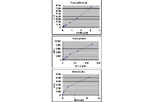 Detection of Various Free Radical Species. (OxiSelect™ In Vitro ROS/RNS Assay Kit (Green Fluorescence))