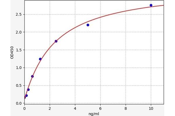 FAF2 ELISA Kit