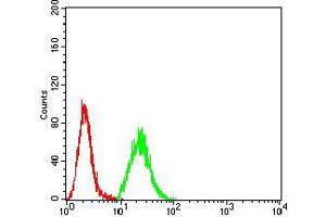 Flow Cytometry (FACS) image for anti-Histone Deacetylase 9 (HDAC9) (AA 343-569) antibody (ABIN5542327)