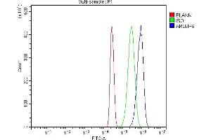 Flow Cytometry analysis of HL-60 cells using anti-ARL6IP6 antibody (ABIN7603020). (ARL6IP6 antibody  (Middle Region))
