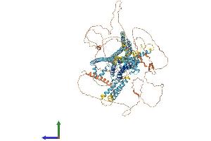 AlphaFold protein structure predicition of Mouse Recombinant Tmc3 Protein, UniprotID Q7TQ69