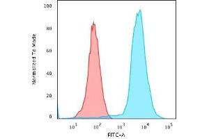 Flow Cytometric Analysis of PFA-fixed Jurkat cells using CD45 Monoclonal Antibody (135-4C5) followed by Goat anti- Mouse- IgG-CF488 (Blue); Isotype Control (Red). (CD45 antibody)