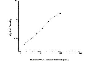 PKC gamma ELISA Kit