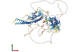 AlphaFold protein structure predicition of Mouse Recombinant Smcr8 Protein, UniprotID Q3UMB5 (SMCR8 Protein (AA 1-935) (His tag))