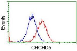Image no. 9 for anti-Coiled-Coil-Helix-Coiled-Coil-Helix Domain Containing 5 (CHCHD5) (AA 1-110) antibody (ABIN1490561) (CHCHD5 antibody  (AA 1-110))