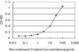 Detection limit for recombinant GST tagged MMP13 is approximately 1ng/ml as a capture antibody. (MMP13 antibody  (AA 362-471))