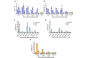 ELISA results using Rabbit Anti-Human IgM. (Rabbit anti-Human IgM Antibody)