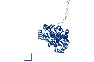 AlphaFold protein structure predicition of Human Recombinant PLCXD1 Protein, UniprotID Q9NUJ7