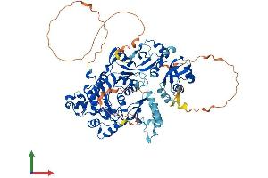 Protein Structure (PS) image for NOP2/Sun Domain Family, Member 2 (NSUN2) (AA 1-757) protein (His tag) (ABIN7563643)