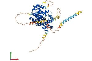 AlphaFold protein structure predicition of Mouse Recombinant Chst7 Protein, UniprotID Q9EP78