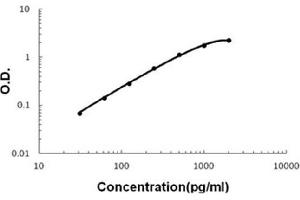 Sandwich ELISA - Recombinant mouse IL17F protein standard curve. (IL17F antibody  (AA 29-161))