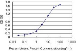 Detection limit for recombinant GST tagged MLL4 is approximately 0. (MLL4 antibody  (AA 813-904))