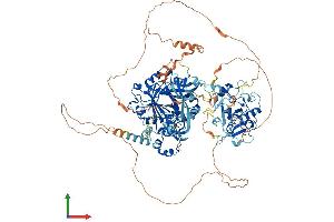 AlphaFold protein structure predicition of Human Recombinant KDM4C Protein, UniprotID Q9H3R0 (KDM4C Protein (AA 1-1056) (His tag))