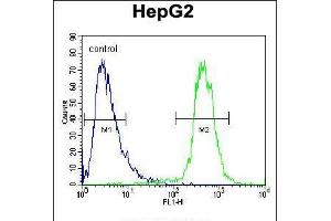 Flow cytometric analysis of HepG2 cells (right histogram) compared to a negative control cell (left histogram). (ATP13A3 antibody  (N-Term))