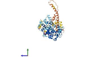 AlphaFold protein structure predicition of Human Recombinant MICU3 Protein, UniprotID Q86XE3 (EFHA2 Protein (AA 1-530) (His tag))