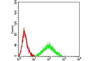 Flow cytometric analysis of HL-60 cells using CD243 mouse mAb (green) and negative control (red). (ABCB1 antibody  (AA 1149-1280))