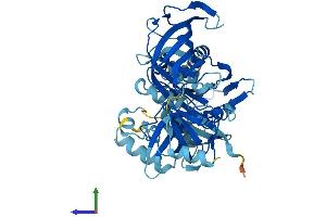 AlphaFold protein structure predicition of Human Recombinant EEF1A2 Protein, UniprotID Q05639 (EEF1A2 Protein (AA 1-463) (His tag))