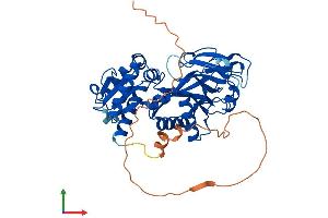Protein Structure (PS) image for Inositol-Tetrakisphosphate 1-Kinase (ITPK1) (AA 1-414) protein (His tag) (ABIN7554204)