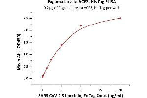 ELISA image for Angiotensin I Converting Enzyme 2 (ACE2) protein (His tag) (ABIN6952704)
