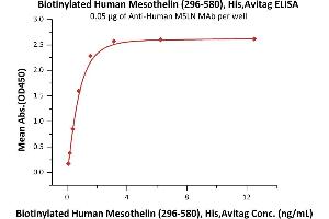 ELISA image for Mesothelin (MSLN) (AA 296-580) (Active) protein (His tag,AVI tag,Biotin) (ABIN5674604)