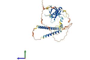 AlphaFold protein structure predicition of Mouse Recombinant Plekho1 Protein, UniprotID Q9JIY0