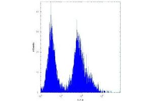 CDKN2B antibody flow cytometric analysis of 293 cells (right histogram)