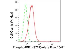 Flow cytometric analysis of phospho-IRE1 (S724) expression in HT- cells using phospho-IRE1 (S724) antibody (ABIN7798443), 1:2,000). (Recombinant ERN1 antibody  (pSer724))